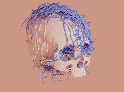 blender skull 3d 3d art blender blender3d blendercycles blue minimal pink salmon skull skull art transgender