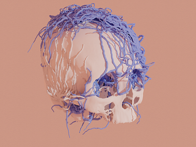 blender skull