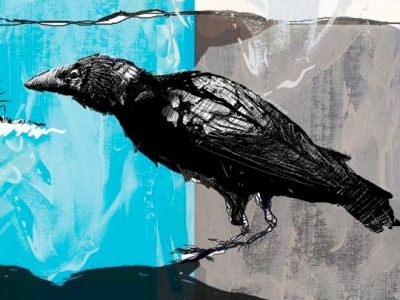 Raven crow illustration rave texture