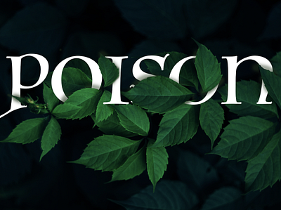 Poison graphic design illustration typography