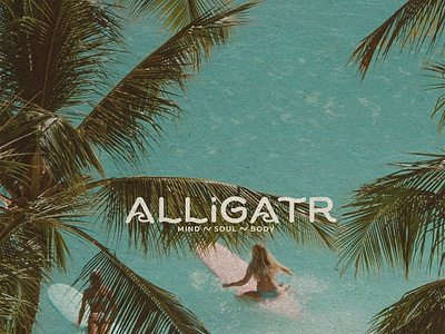 Alligatr 🏄🏽‍♂️🌊