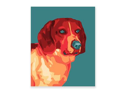 Truman design dog graphic design illustrator vector art