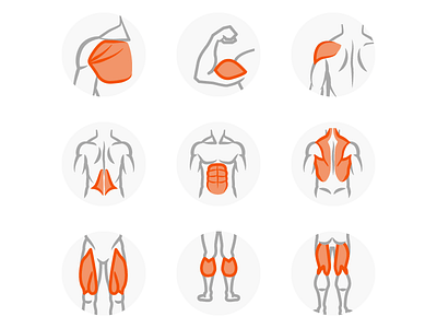 Workout muscle group icons exercise icons muscle workout