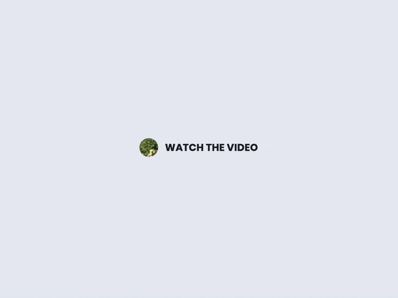 Video button animation - CodePen