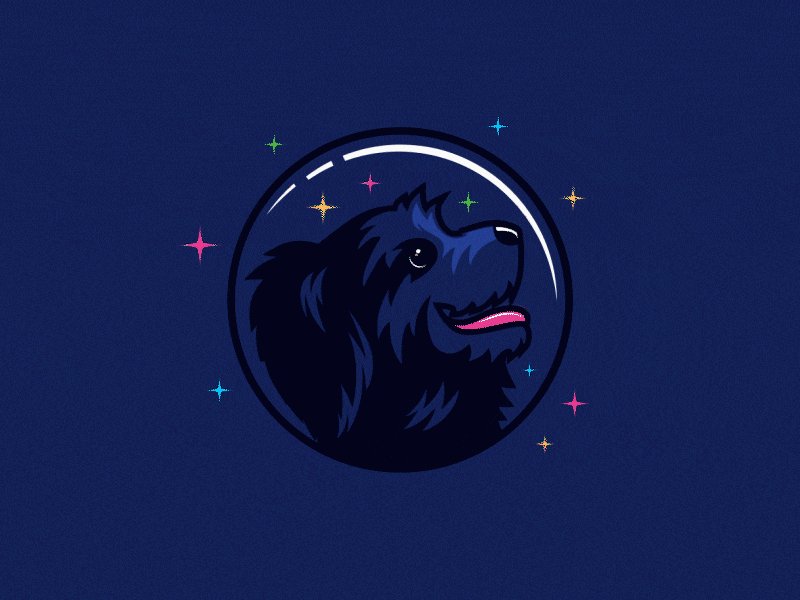 Psia to sfera astronaut dark dog logo space stars