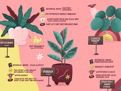 PLANT GUIDE