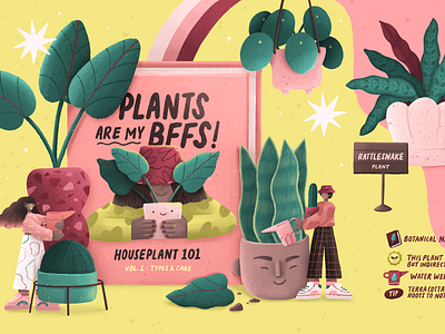 PLANT GUIDE editorial editorial illustration illustration plant plant care plant illustration