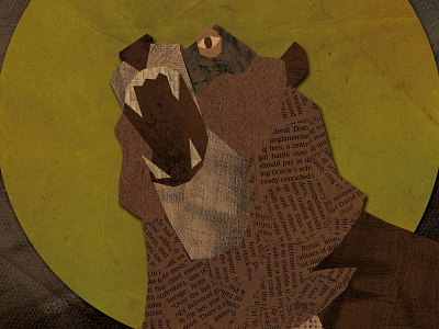 a bear! animal bear illustration nature texture