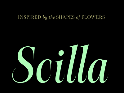 scilla font clean design display free resource serif