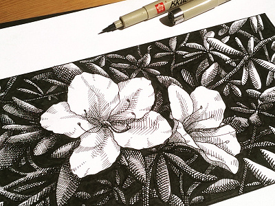 Wite Flower drawing flower graphic ink sketch