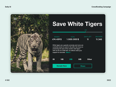 Crowdfunding Campaign - Daily UI 032