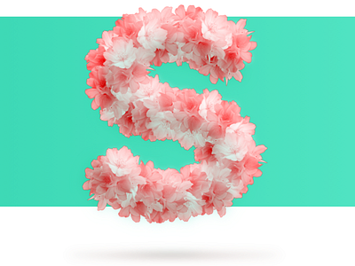 Sprung 3d floating flower font letters photography pink s san serif sketch spring typography