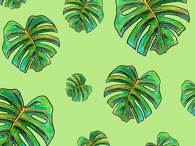 Monstera green leaf monstera pattern plants sketch