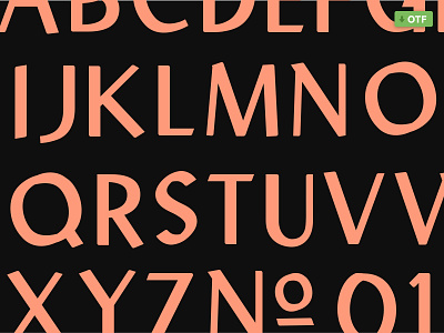 ✒️California | A Future Classic Sans Serif Font 🖋