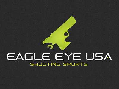 Eagle Eye Logo Design 2