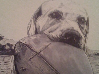 Dog black white dog illustration pen sketch