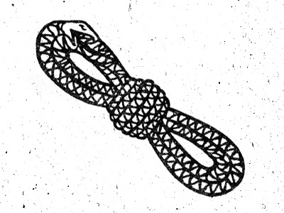 Rope climbing rope snake