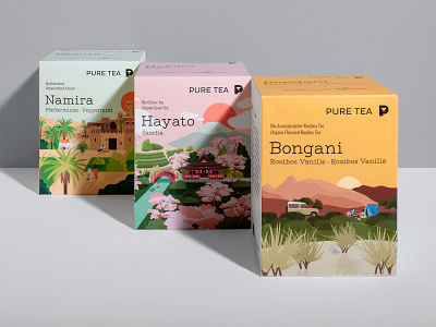 Pure Tea Packaging Illustrations