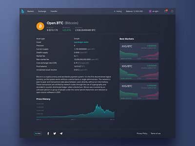 Bitshare Asset Page app application bitcoin bitcoins crypto dark mode dark ui data design graphic info sketch table tocken ui ux web web design