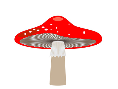 Mushroom Update! adobe illustrator digital art digital arts drawing illustration mushrooms