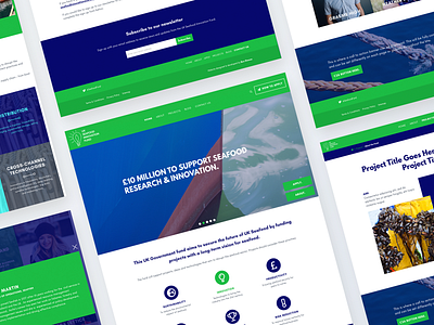 UK SEAFOOD INNOVATION FUND - Website Design banner blue charity design desktop fund funding green homepage innovation project research science seafood ui uk web web design webdesign website