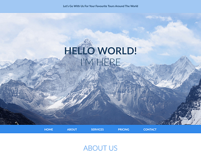 Travel &Tours website design