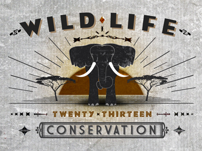 Wildlife Conservation 2013 _V.2 cause for the