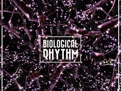 Biological Rhythm