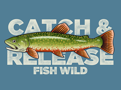 Catch & Release