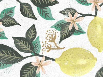 Lemons design flowers illustration leaves lemons