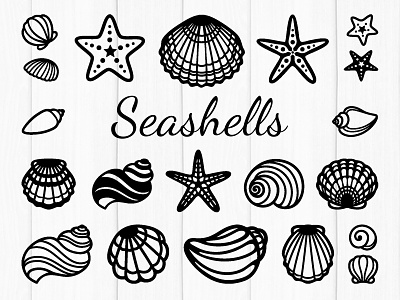 Seashells beach vibes cricut file cut files ocean sea clipart seashell seastar silhouette cameo summer vacation svg bundle