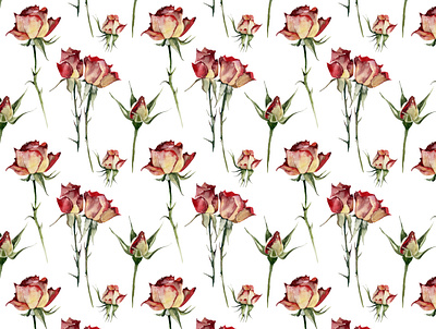 Roses watercolor pattern floral pattern flowers flowers pattern illustration painting pattern roses illustration roses pattern watercolor