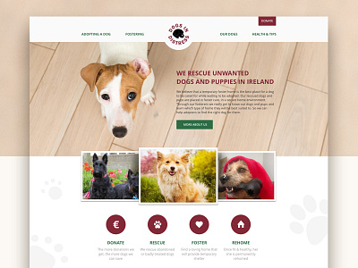 Dogs in Distress design dogs fundation home page rescue website