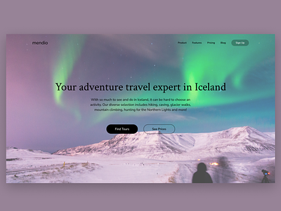 Homepage of a Iceland Travel Guide app aurora borealis branding design figma hero hero page homepage iceland overlays tourists travel travel guide travel website ui webpage website