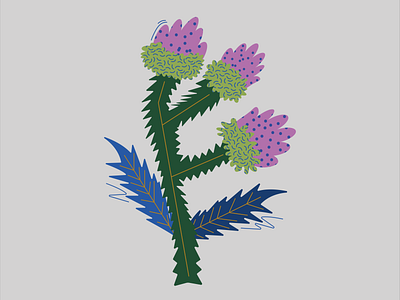Carduus blue carduus cartoon color colourful design dots fedir ernst flower illustration pink plants