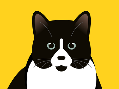 Molly animal cat design illustration meow molly portrait