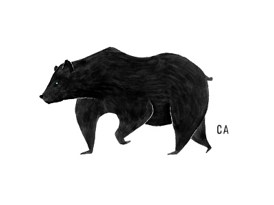 California Grizzly animal bear california design drawing illustration vector