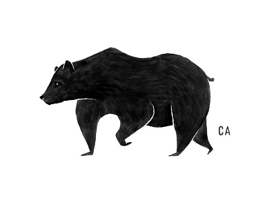 Grizzly Details animal bear california design drawing illustration vector