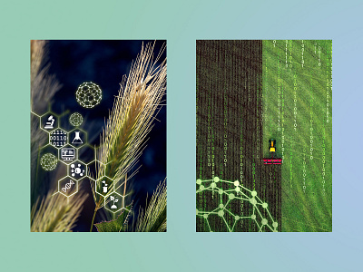 Cover art - Nanotechnology in Agriculture