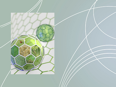 Cover art - Nanotechnology in Agriculture