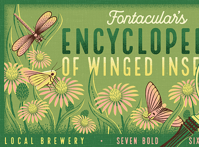 Fontacular | Fairytale Field Guide bugs butterfly dragonfly encyclopedia fairytale field guide identification insect moth retro vintage