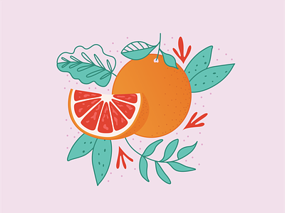 Citrus 2 ai citrus fruit fruit illustration illustration