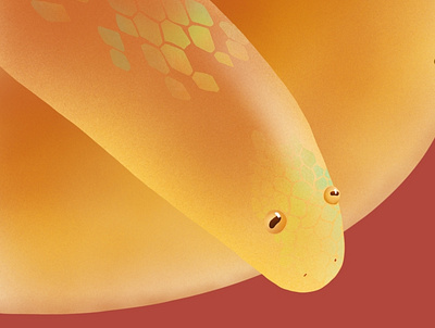 Stupid looking snake illustraion snake snake illustration stupid