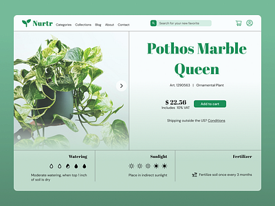 Plant Shop Product Details Page design e commerce green online shop plant shop product product details product page scandinavian shop ui ui design uxui uxui design visual design