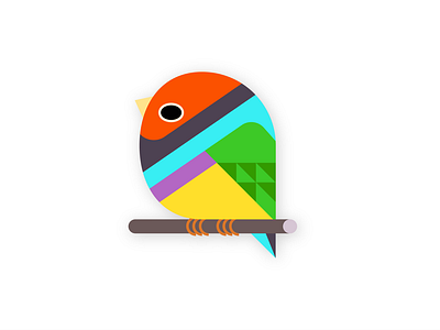 gouldian finch