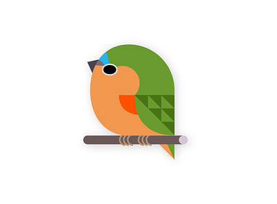 parrot finch bird branding cute design finch graphic design illus logo nature vector