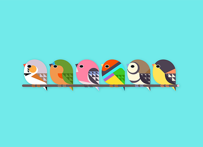 finches animal bird branding cute design finch illustration illustrator logo nature vector