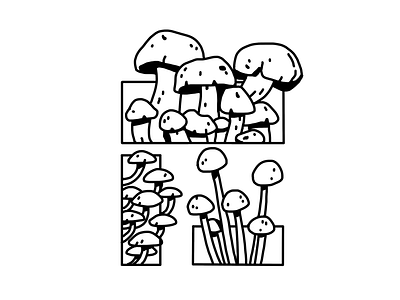 Fungus/Shrooms black and white digital art fungus illustration mushrooms nature plant selling tattoo