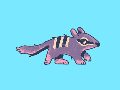 Numbat