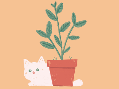 Cat plant